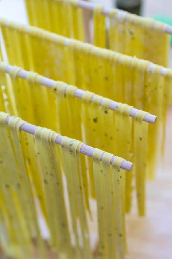 Fresh Fettuccine with herbs