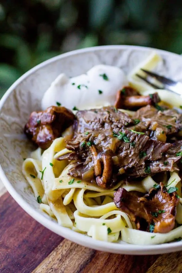 Instant Pot French Onion Beef Stroganoff