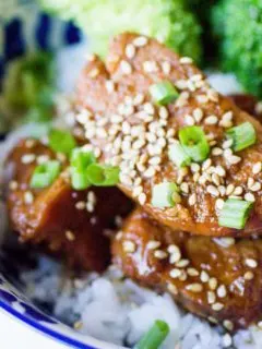 Instant Pot Pork Tenderloin Teriyaki