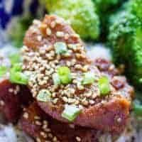 Instant Pot Pork Tenderloin Teriyaki