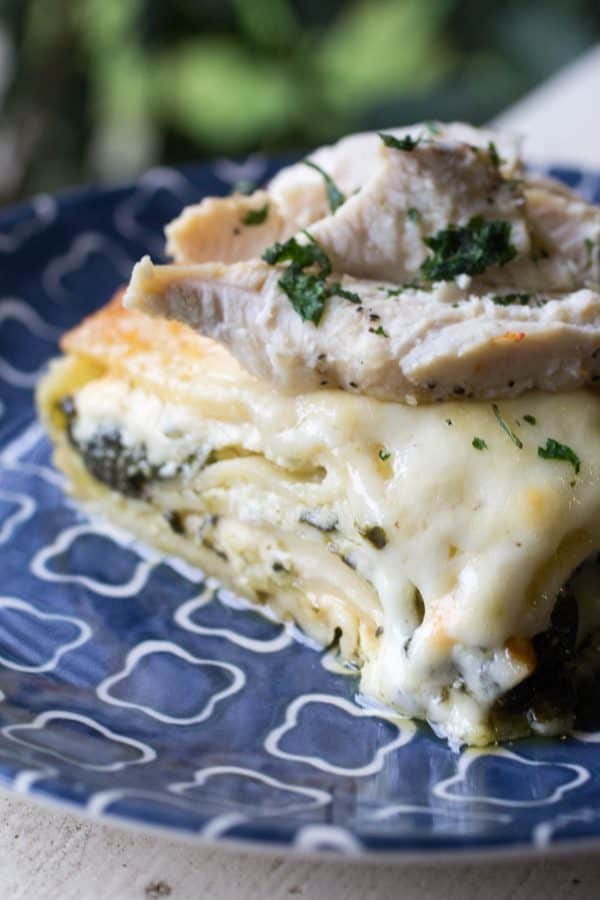 Chicken Alfredo Lasagna with Spinach