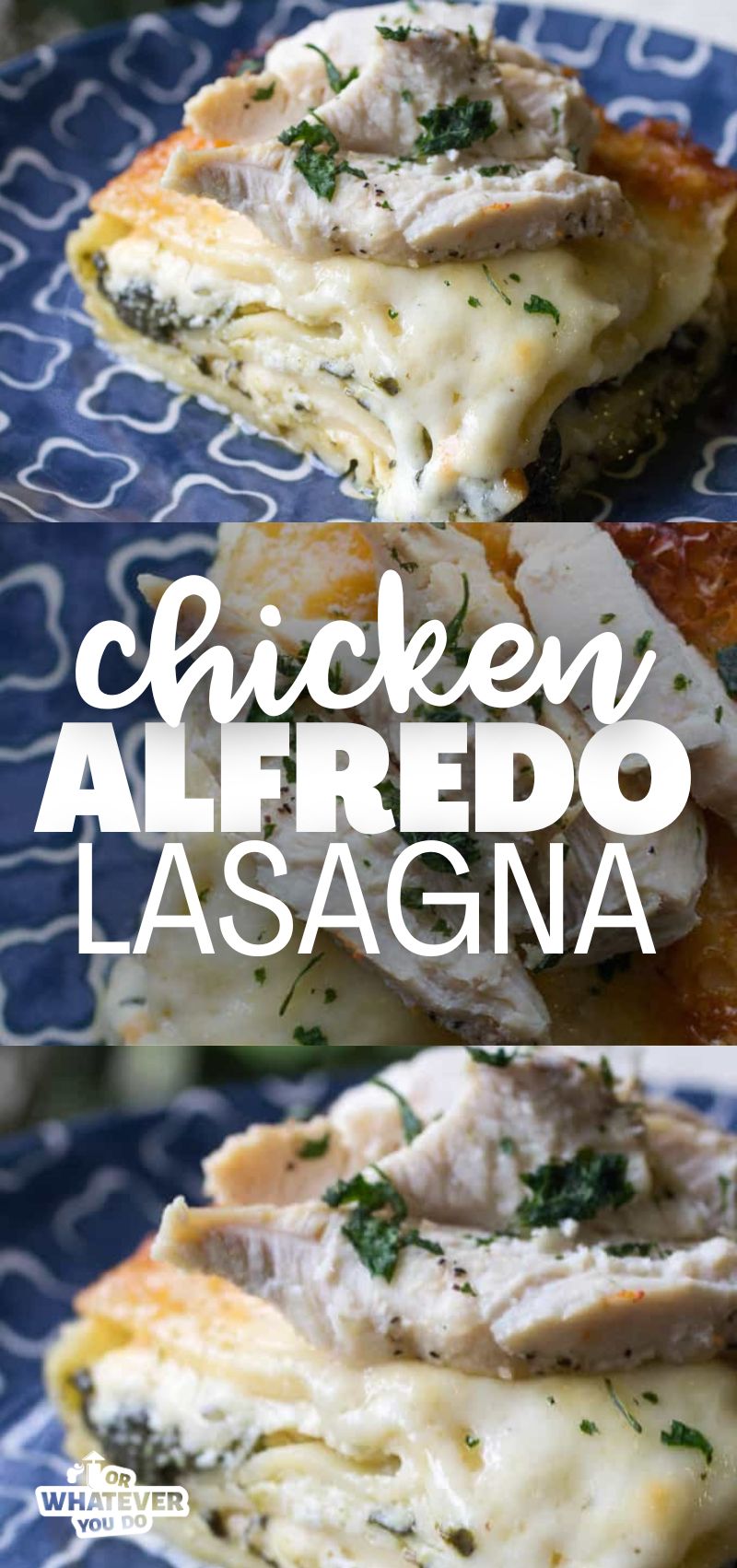 Chicken Alfredo Lasagna