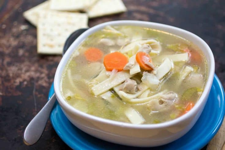 Instant Pot Chicken Noodle Soup