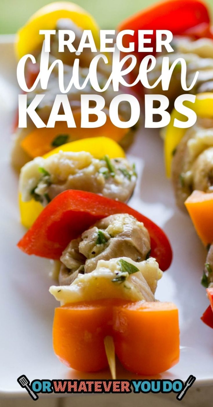 Traeger Chicken Kabobs Recipe Easy Traeger WoodPellet Grill Recipe