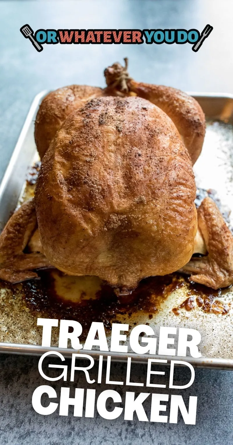 Traeger Roasted Whole Duck - This Jew Can Que