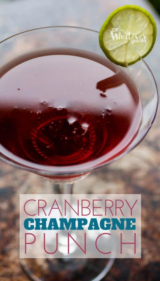 Cranberry Champagne Punch - Or Whatever You Do