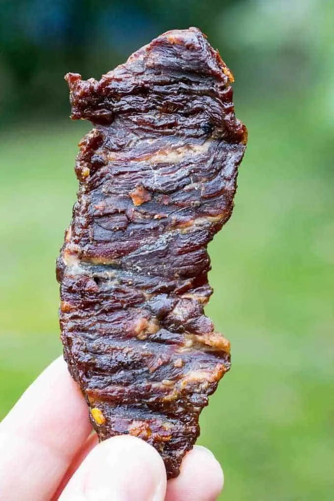 Traeger Beef Jerky