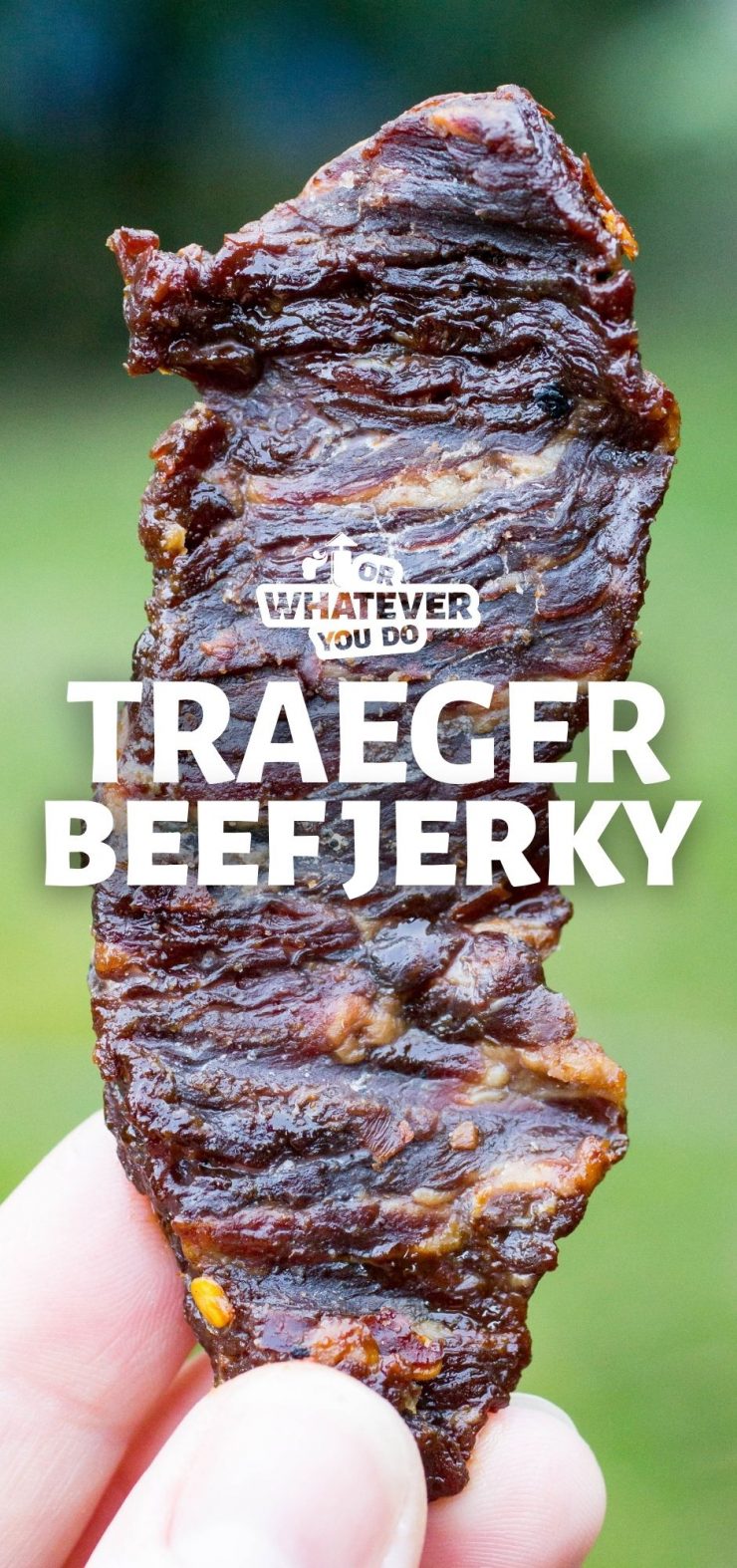 Traeger Beef Jerky