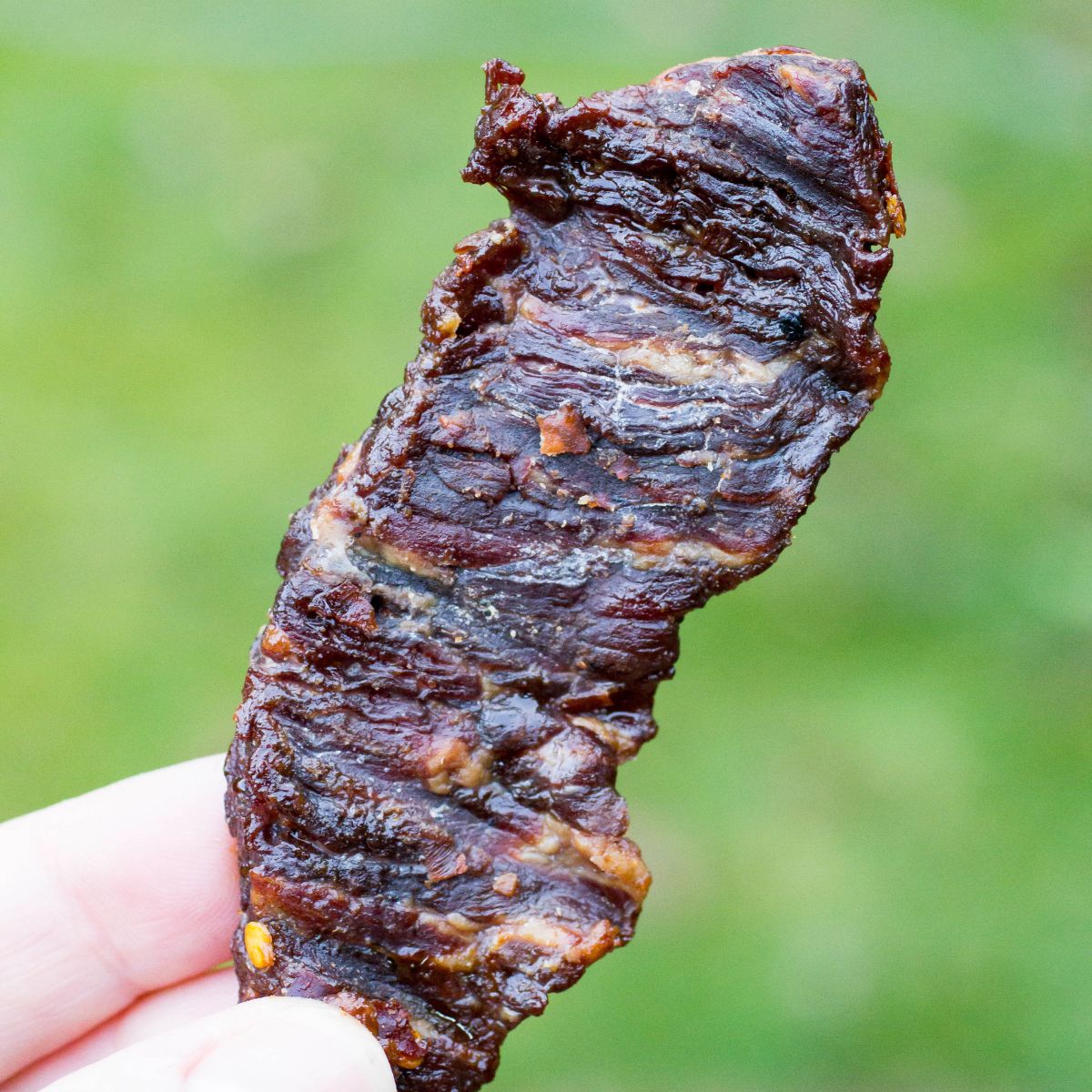 Traeger Beef Jerky