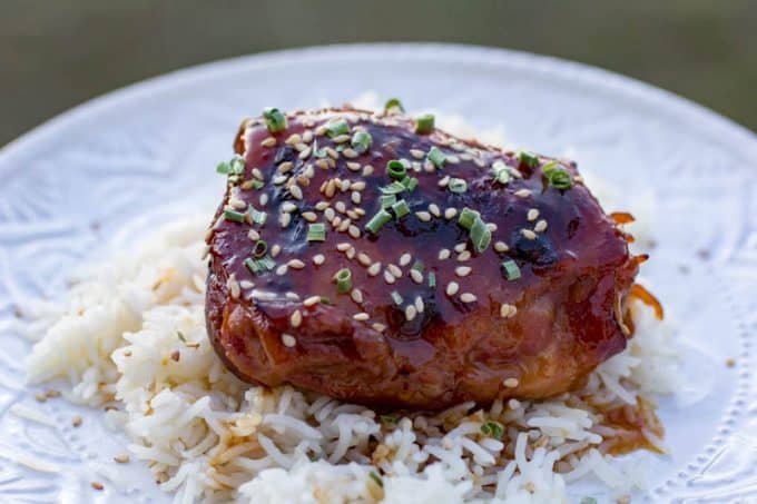 Instant Pot Honey Garlic Chicken Thighs