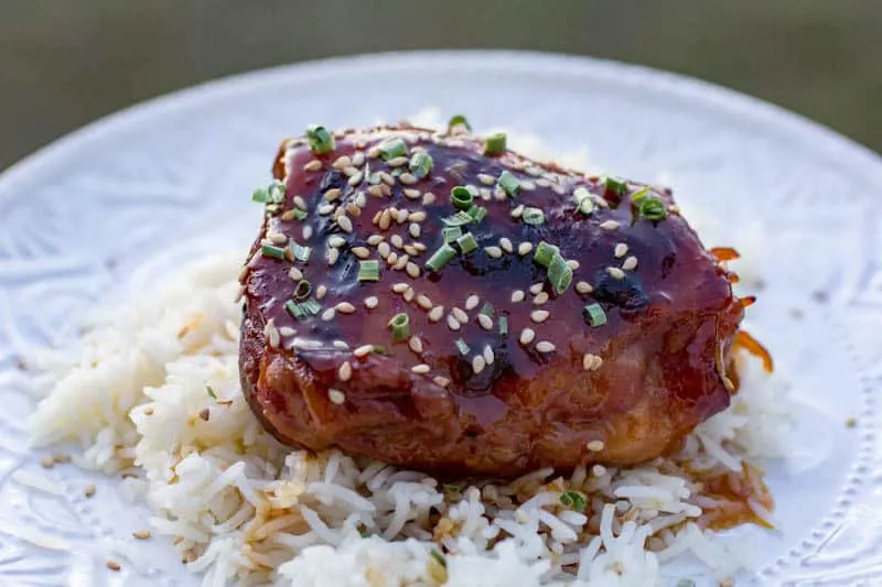 Instant Pot Honey Garlic Chicken Thighs Instant Pot Honey Garlic Chicken Thighs