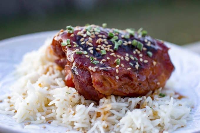 Instant Pot Honey Garlic Chicken Thighs