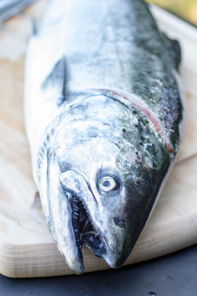 Togarashi Smoked Salmon Traeger Smoked Salmon Recipe with 7 Spice