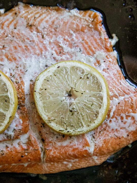 How to Cook Salmon on Pellet Grill: Expert Tips