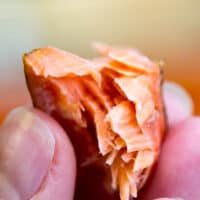 Traeger Smoked Salmon