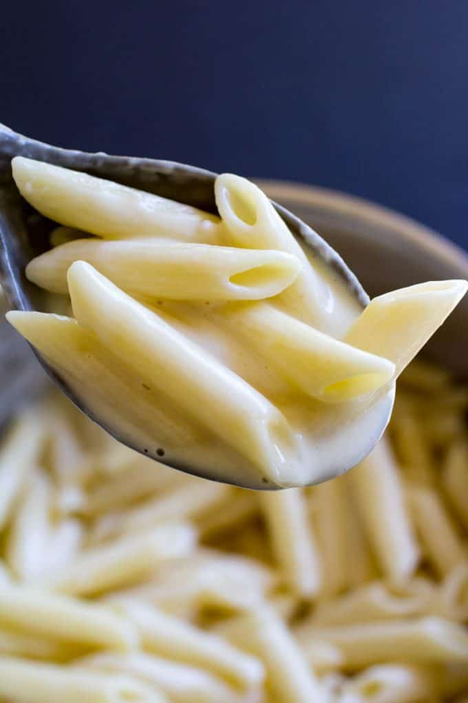 One-Pot Creamy Noodles