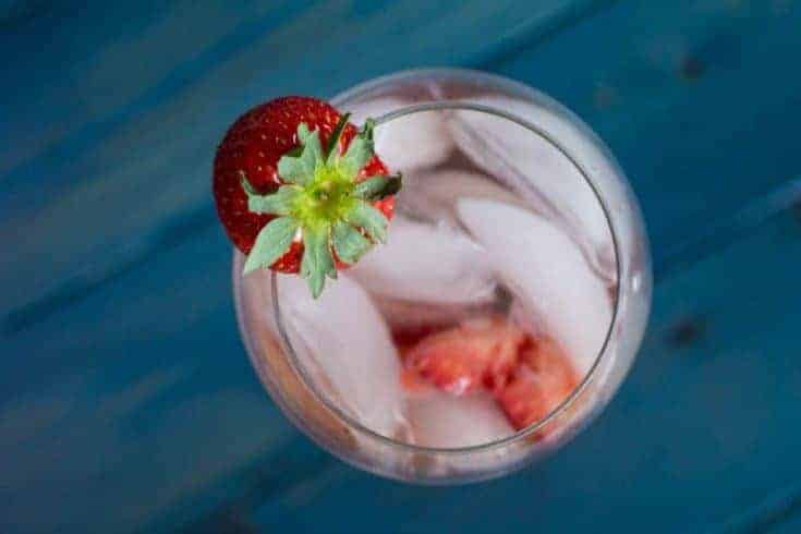Strawberry White Cranberry Spritzer-12