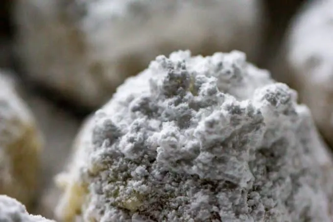 Snowball Cookies with Pecans