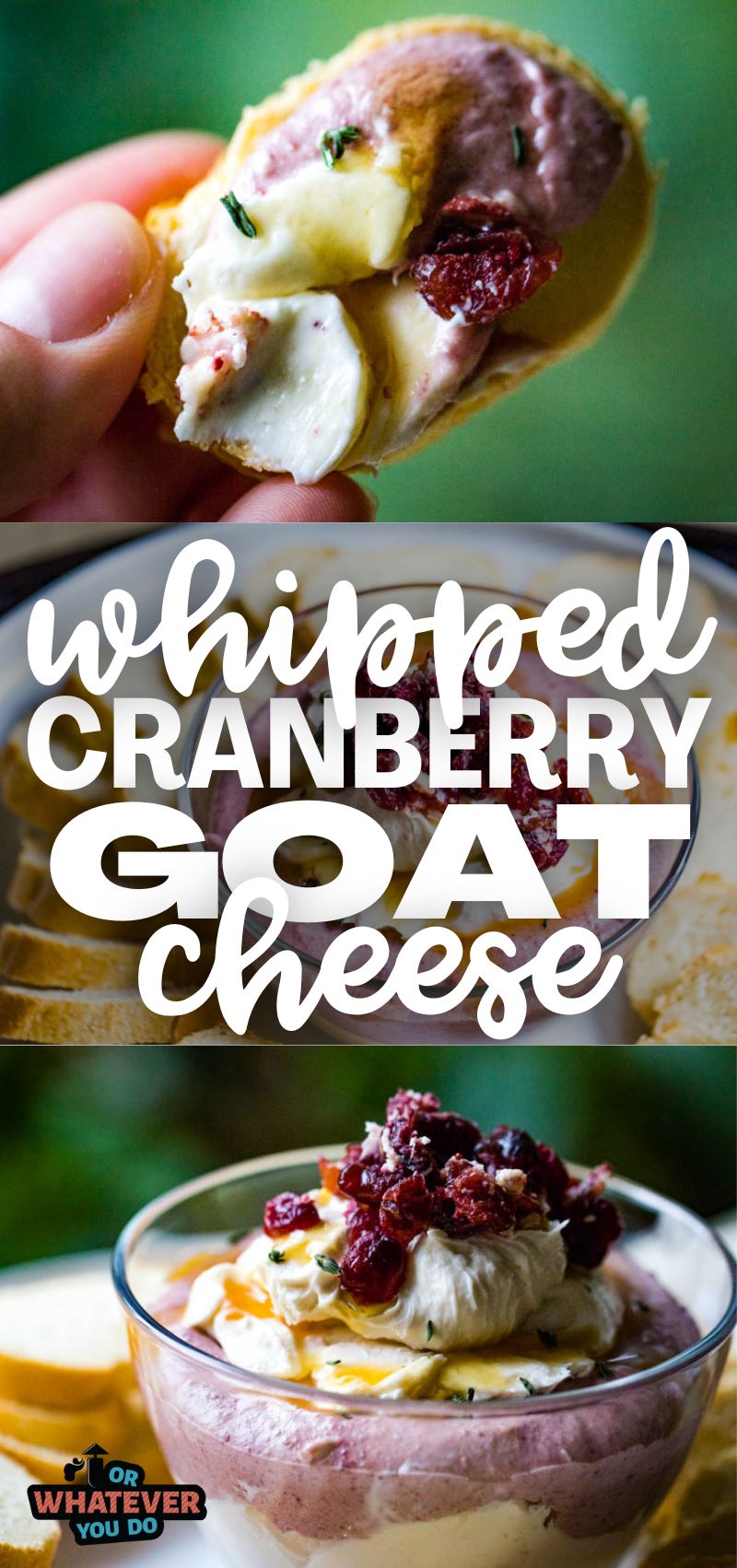 Whipped Cranberry Goat Cheese - Easy holiday appetizer recipe