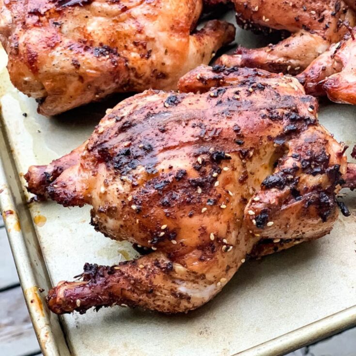 Traeger Smoked Cornish Hens