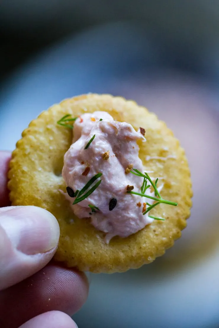 Traeger Smoked Salmon Dip