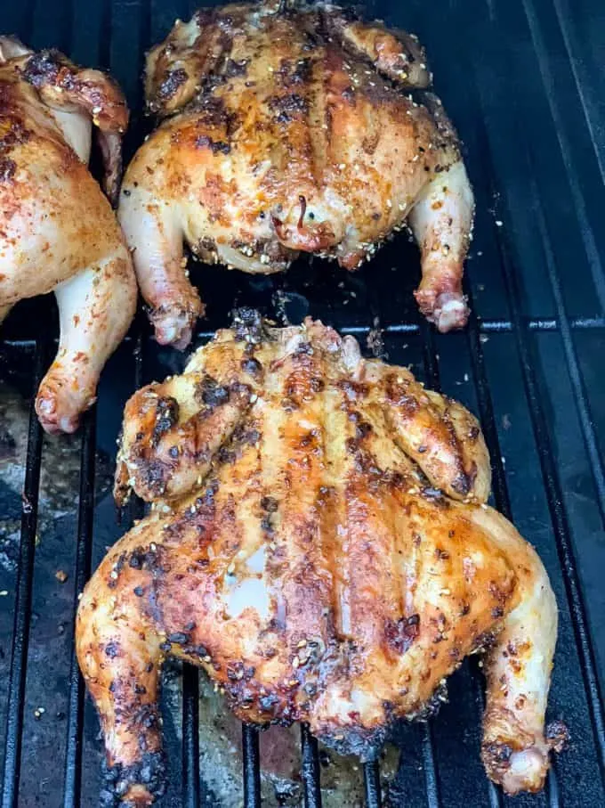 Traeger Smoke Cornish Hens