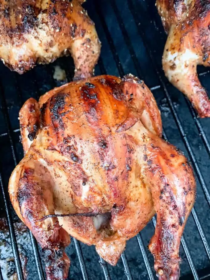 Traeger Smoke Cornish Hens