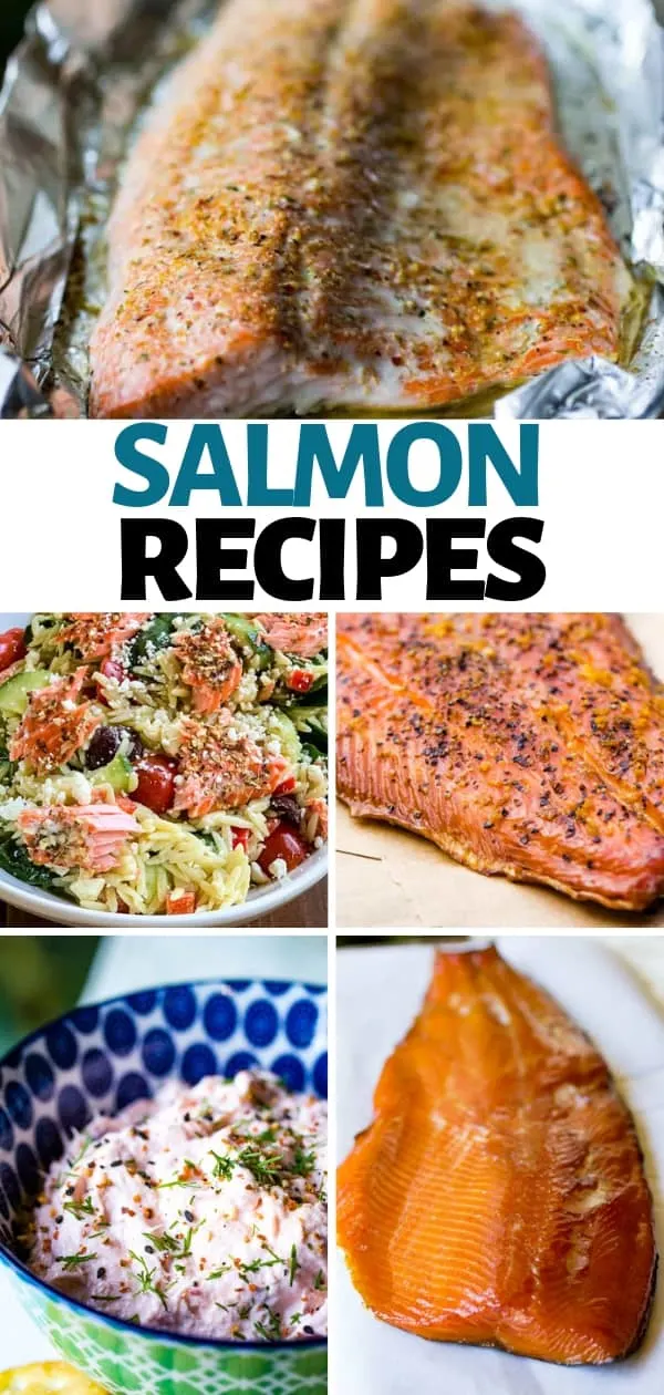 Easy Fresh Salmon Recipes - Delicious recipes featuring fresh salmon