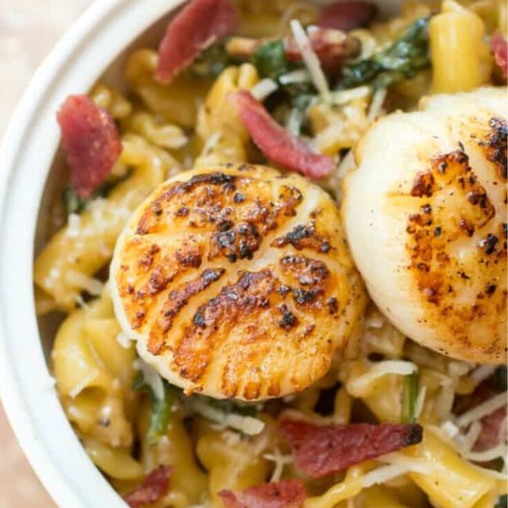 Pan Seared Sea Scallops with White Wine Bacon Cream Sauce