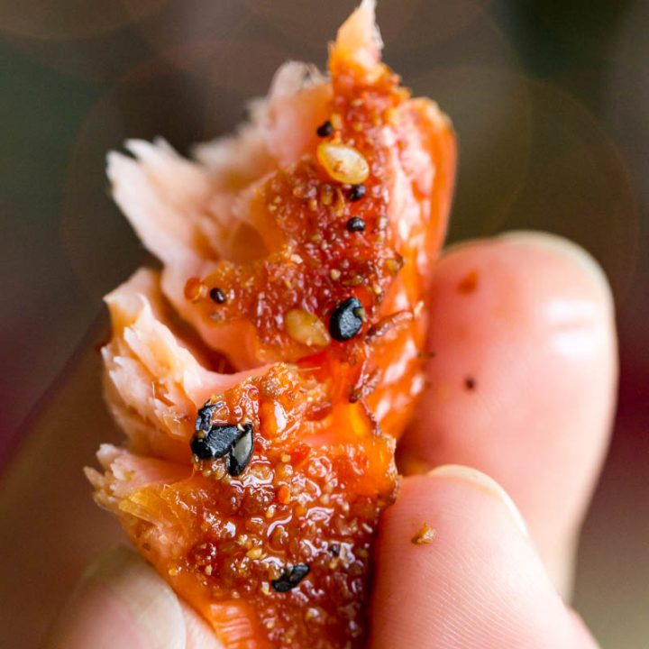 ogarashi Smoked Salmon