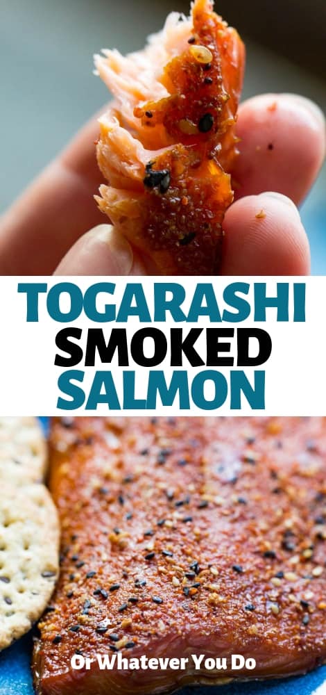 Togarashi Smoked Salmon | Traeger Smoked Salmon Recipe with 7 Spice