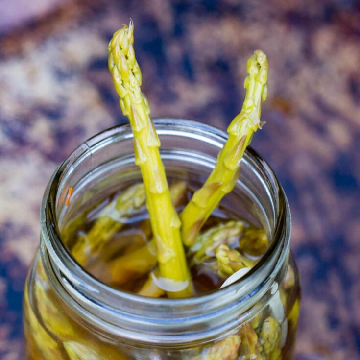 Pickled Asparagus