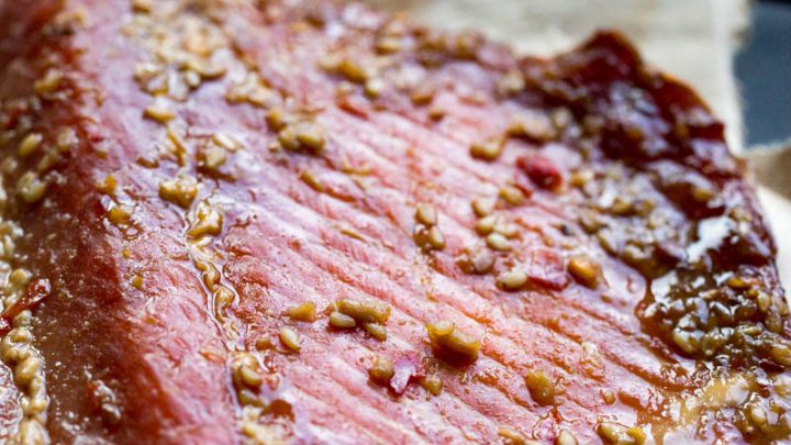 Easy Traeger Wood Pellet Grill Recipes | Or Whatever You Do