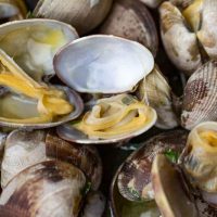 Traeger Grilled Clams