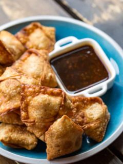 Fried Chinese Chicken Wontons