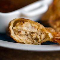 Fried Wontons with Chicken
