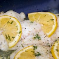 Traeger Rockfish