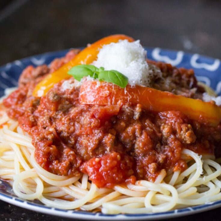 Bison Bolognese