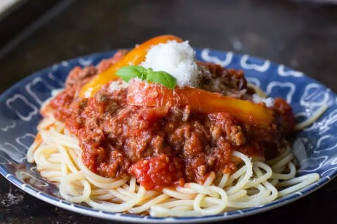 Bison Bolognese