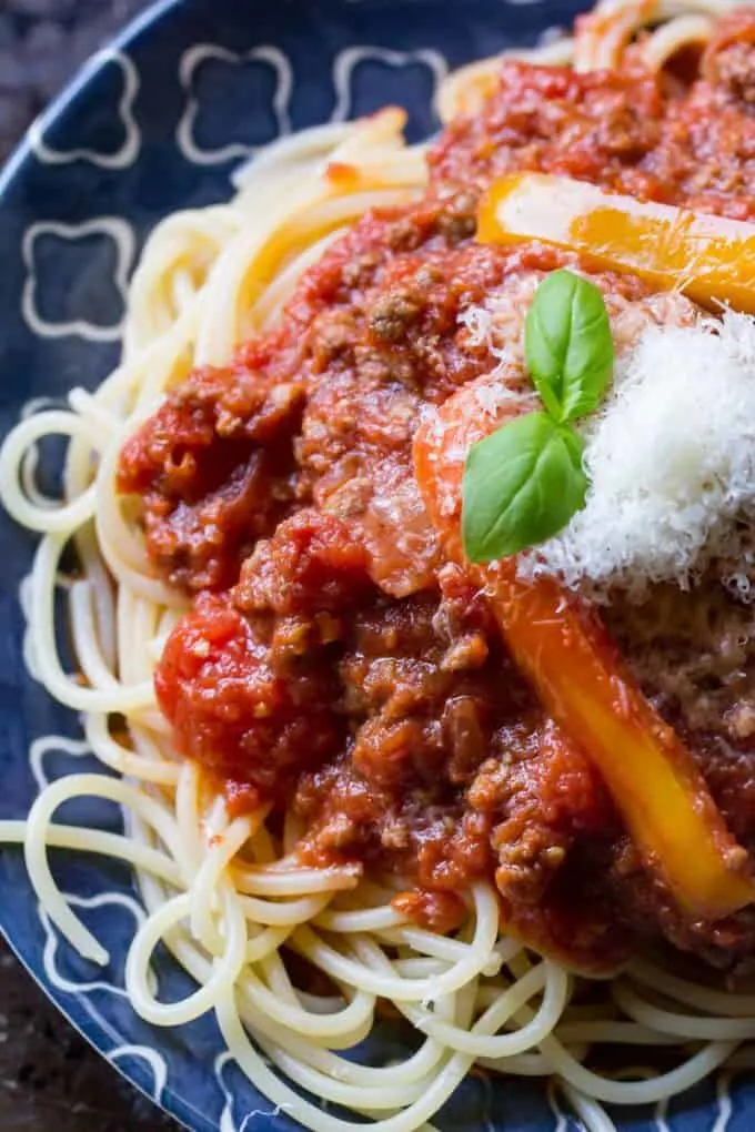 Bison Bolognese