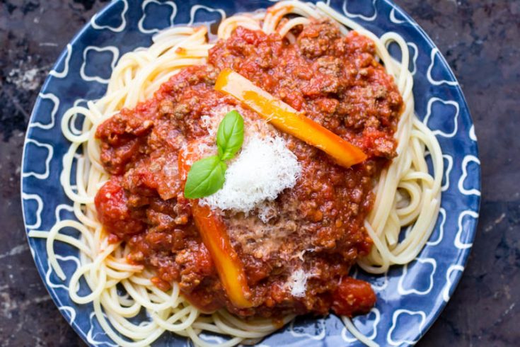 Homemade Bison Bolognese – Or Whatever You Do