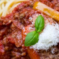 Bison Bolognese