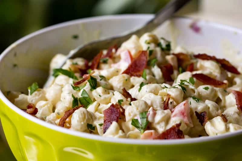 best macaroni pasta salad recipe best macaroni pasta salad recipe