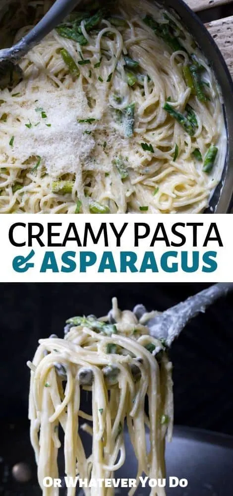 Creamy Pasta and Asparagus