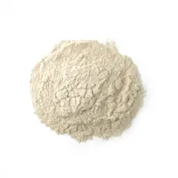 Shiitake Mushroom Powder