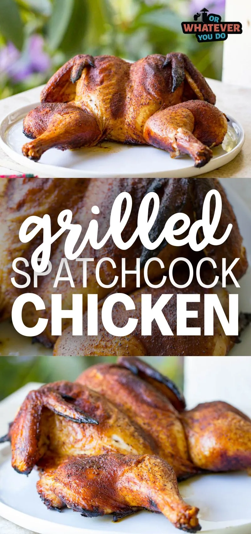 Grilled Spatchcock Chicken