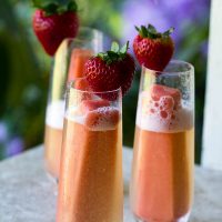 Tropical Mimosa