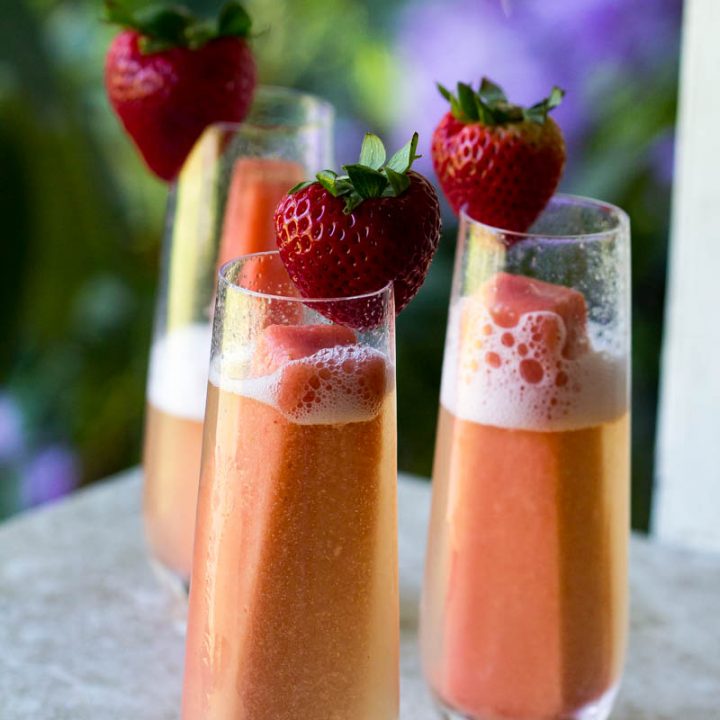 Tropical Mimosa-image