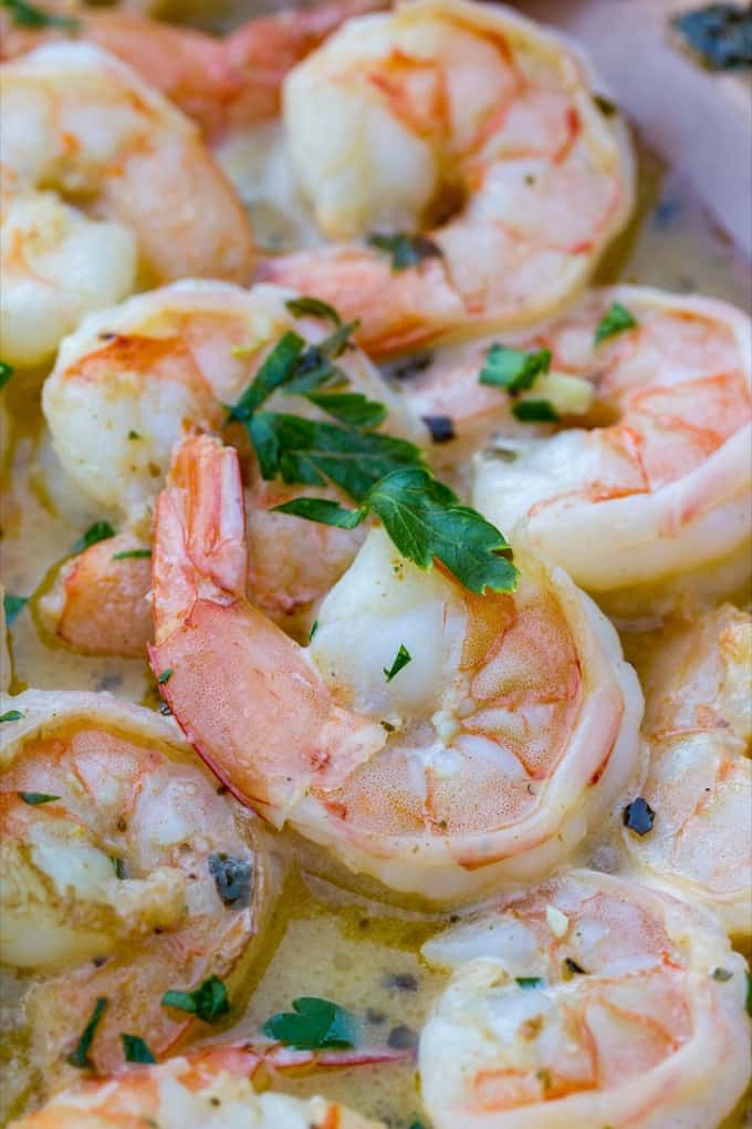 Jumbo Shrimp Scampi