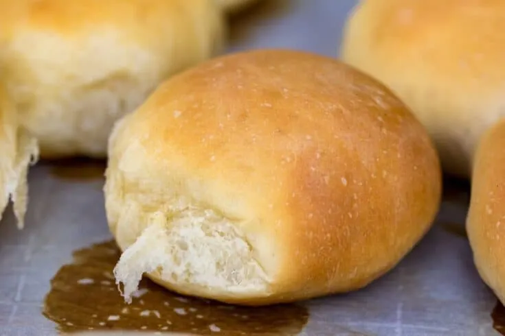 Simple Dinner Rolls